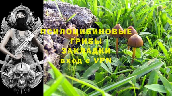 твердый Каменногорск