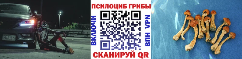 Купить  Жуков  Галлюциногенные грибы MAGIC MUSHROOMS 